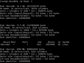 Linux 服务器永久挂载(mount)分区