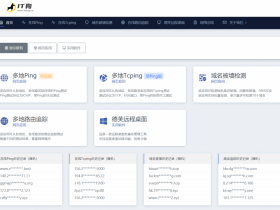 【IT狗】在线ping,在线tcping,路由追踪,域名被墙检测  实用网站推荐